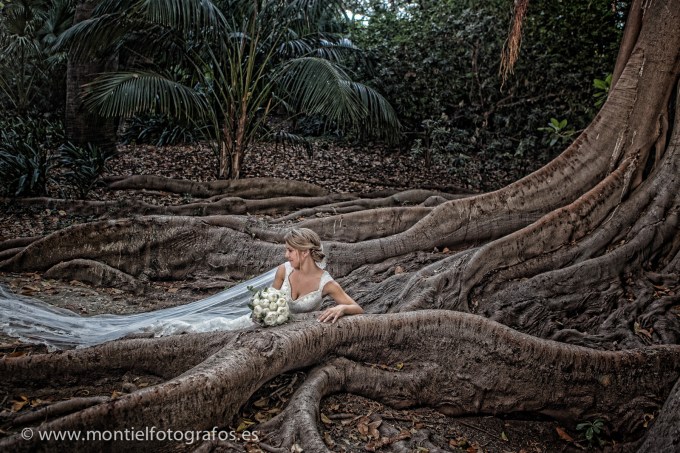 fotografo de comunión en malaga, n fotografos de boda, fotografos de boda en Málaga, fotografos de Málaga, fotografos de malaga, fotografia nocturna, atardecer en malaga (62 de 107)